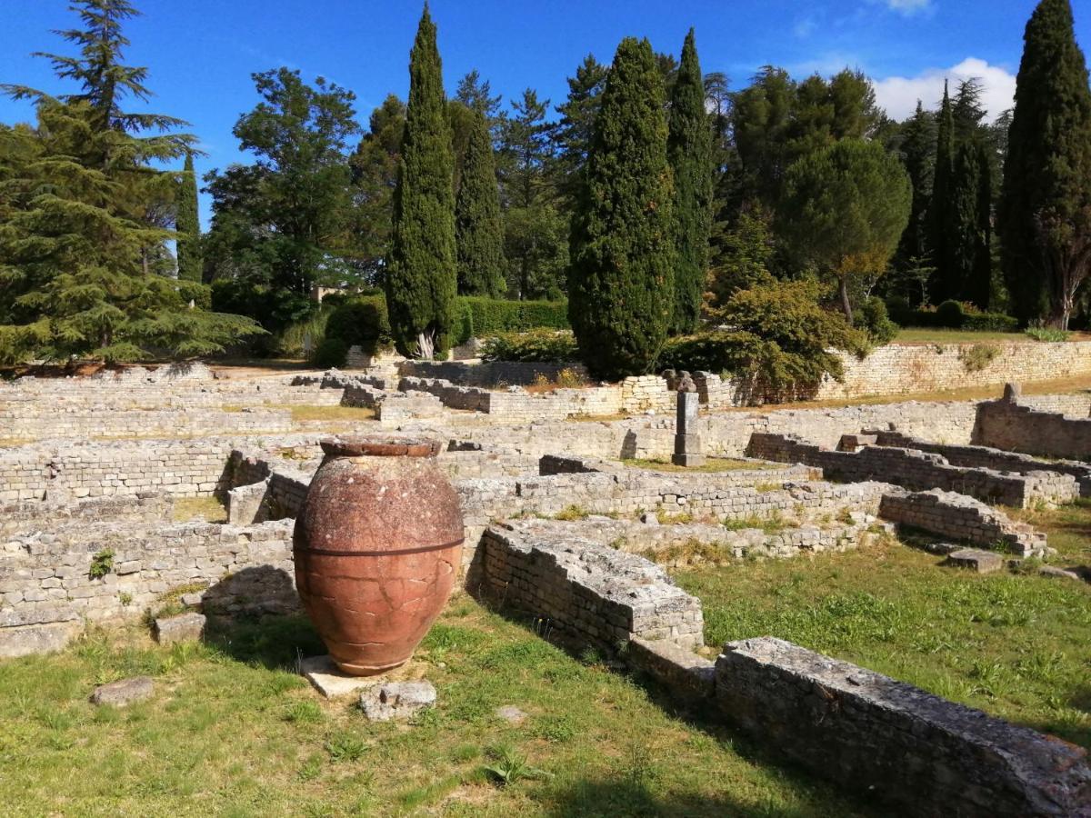 AU VILLADIOR - Vaison la Romaine Extérieur photo