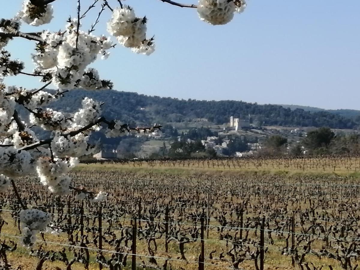 AU VILLADIOR - Vaison la Romaine Extérieur photo