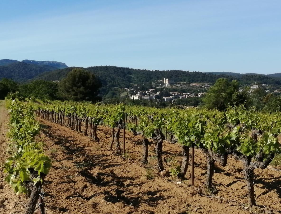 AU VILLADIOR - Vaison la Romaine Extérieur photo